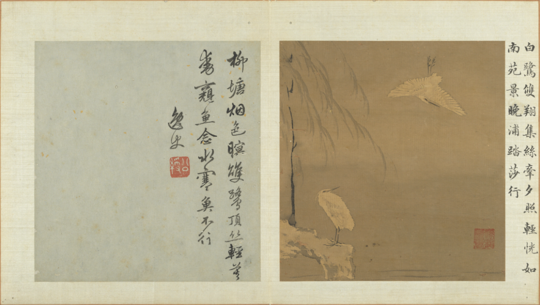 (明)孙龙《写生册》之“柳塘白鹭”中国台北故宫博物院藏