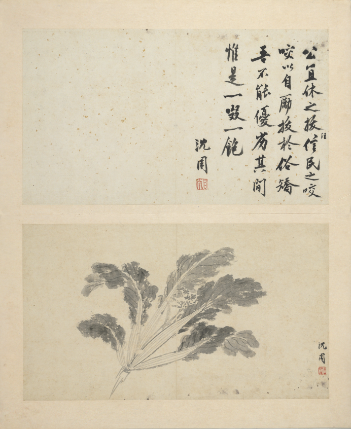 (明)沈周《写意册》之“白菜”中国台北故宫博物院藏