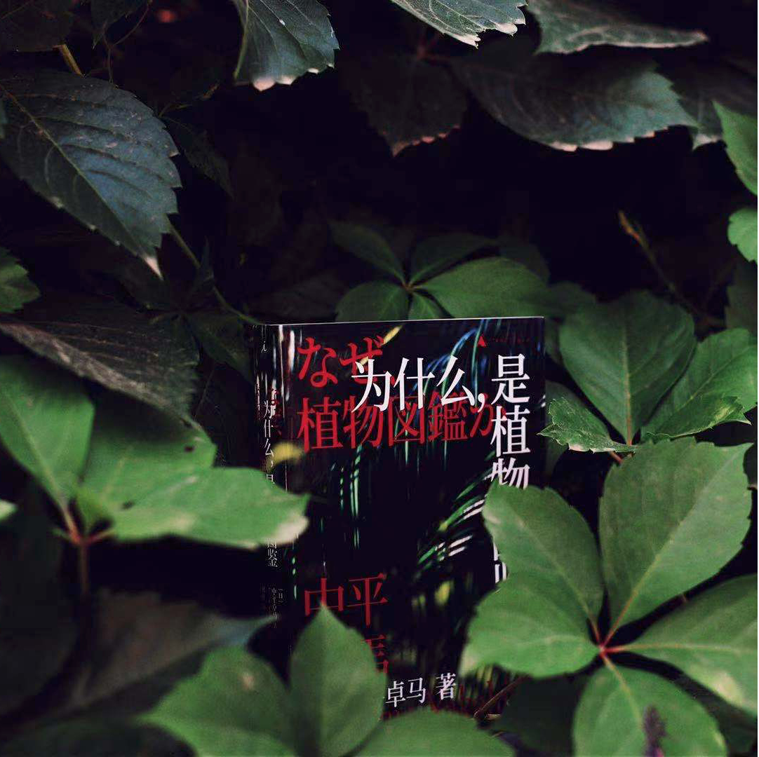 中平卓马摄影评论集《为什么,是植物图鉴》