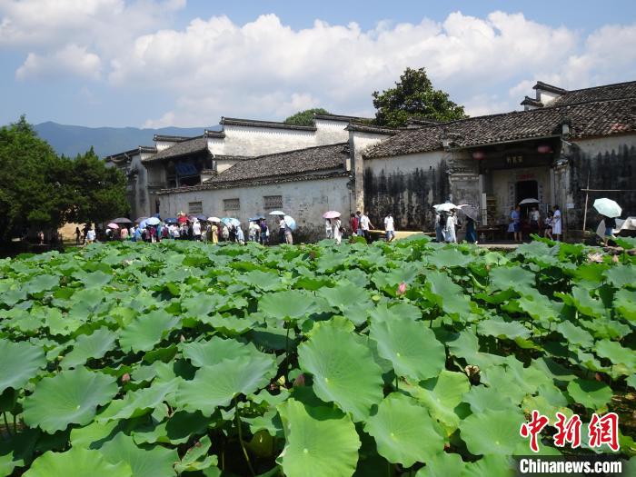宏村景区水清天蓝、绿荷盈湖,八方游客纷至沓来。 吴寿宜 摄 宏村景区水清天蓝、绿荷盈湖,八方游客纷至沓来。 吴寿宜 摄