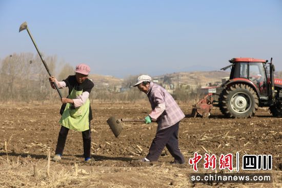 盐源县当地居民正在春耕。王磊摄 盐源县当地居民正在春耕。王磊摄