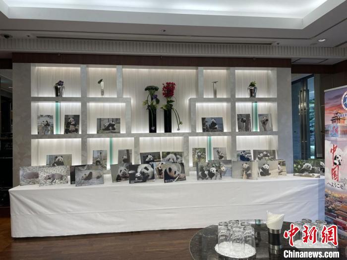 熊猫萌照展区 中国驻东京旅游办事处供图 熊猫萌照展区 中国驻东京旅游办事处供图