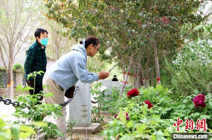 市民在梨香园赏牡丹。 马丽娟 摄 市民在梨香园赏牡丹。 马丽娟 摄