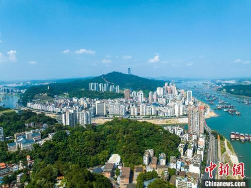 中国侨网广西梧州市城区草木葱郁、碧水蓝天,与城市建筑构成一幅美丽的自然生态画卷。 何华文 摄