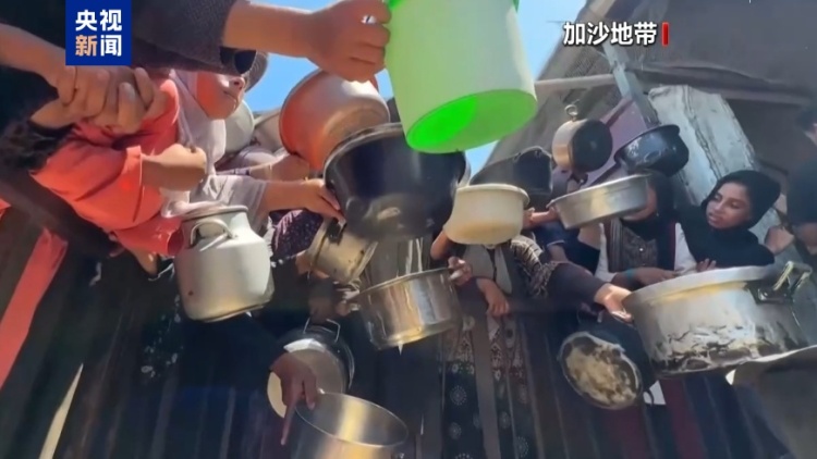 安理会14国呼吁立即应对加沙饥荒